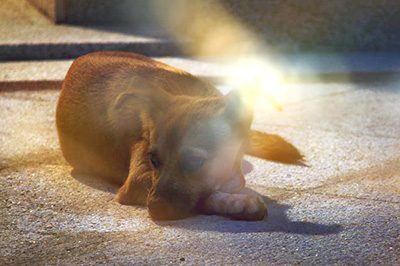PS制作梦幻光晕效果的操作流程