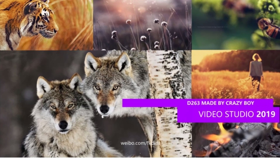 思杰马克丁会声会影官方教程：制作九宫格拼图镜头缩放效果