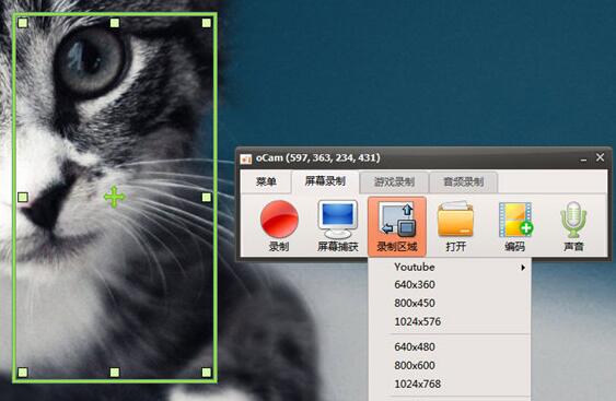oCam录视频的详细操作方法