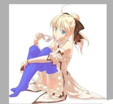 sai绘图软件给图片添上花纹的操作方法