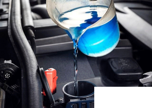 只有冬天才需要给车涂防冻液吗 支付宝蚂蚁庄园12月25日答案