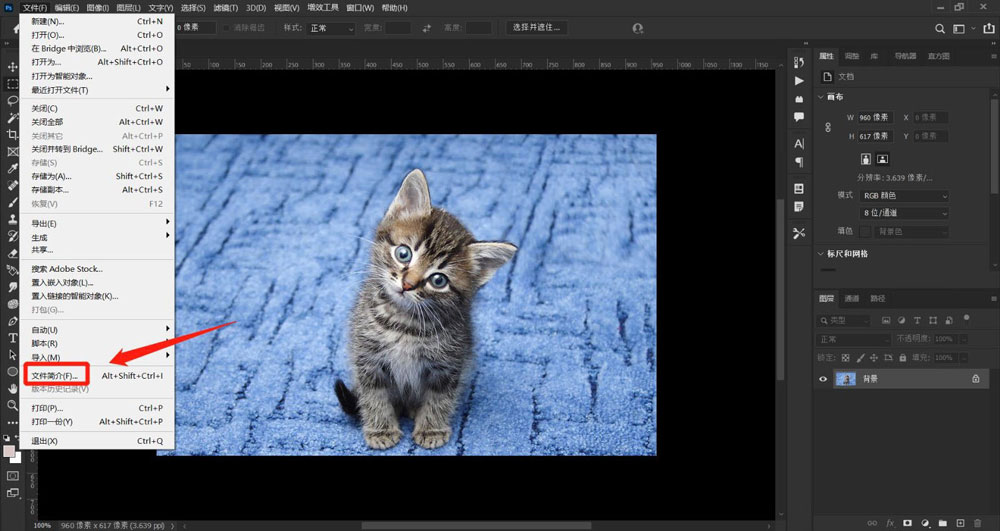 ps版权公告信息如何写?ps添加版权公告信息详细教程