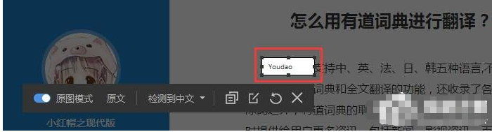小编教你解决有道词典多种翻译方式。