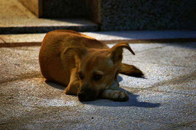 PS制作梦幻光晕效果的操作流程