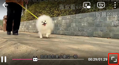 哔哩哔哩如何双击关闭弹幕？哔哩哔哩双击关闭弹幕方法步骤