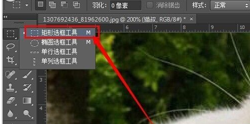 photoshop cs6为图片加框的操作步骤