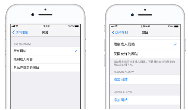 分享开启iphone“访问限制”。