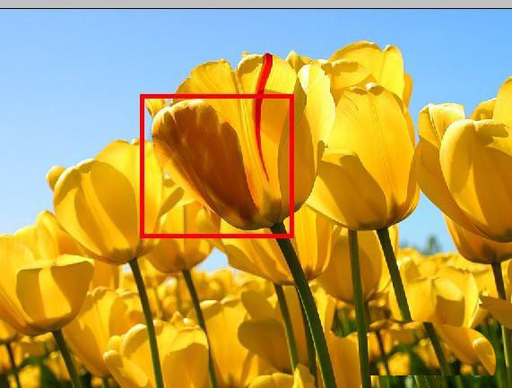 ps加深工具怎么使用?ps加深工具使用教程