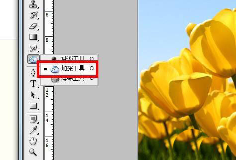 ps加深工具怎么使用?ps加深工具使用教程