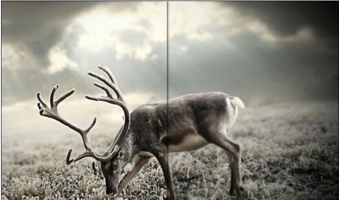 小编教你解决用PS软件让图片更清晰的设置技巧。