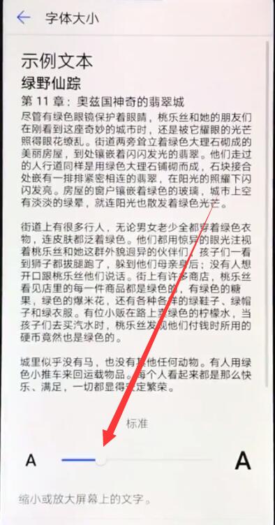 华为nova3e中调整字体大小的相关教程