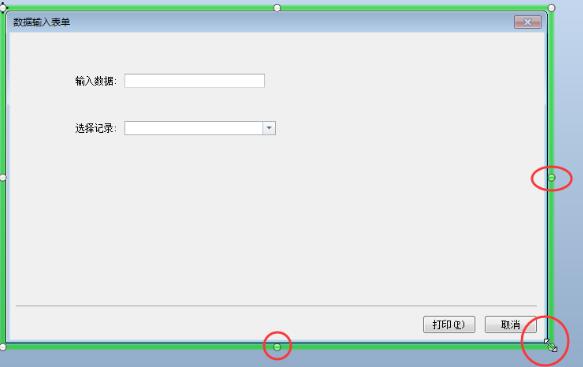 BarTender调整数据输入表单大小的操作方法