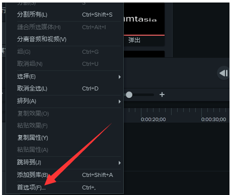 说说Camtasia处理视频出现了黑屏现象。