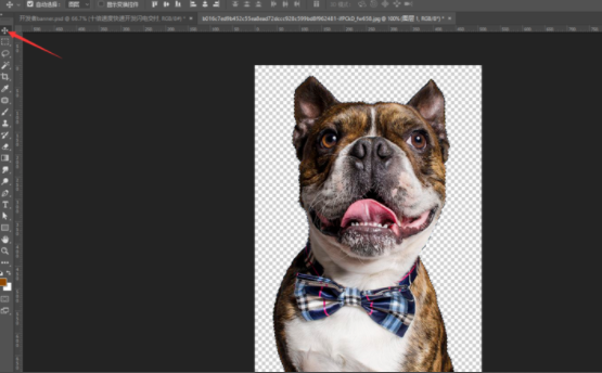 分享教你用PS魔棒工具来抠图。