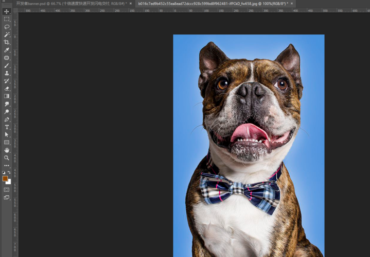 分享教你用PS魔棒工具来抠图。