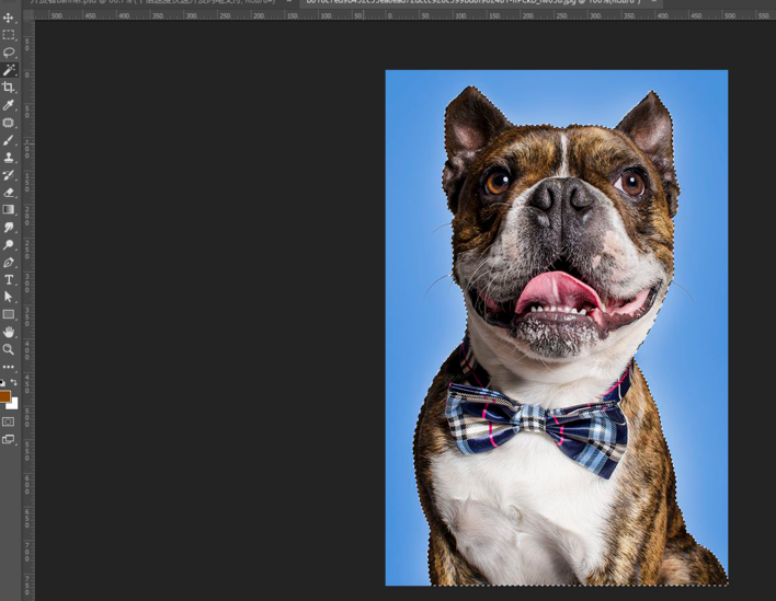 分享教你用PS魔棒工具来抠图。