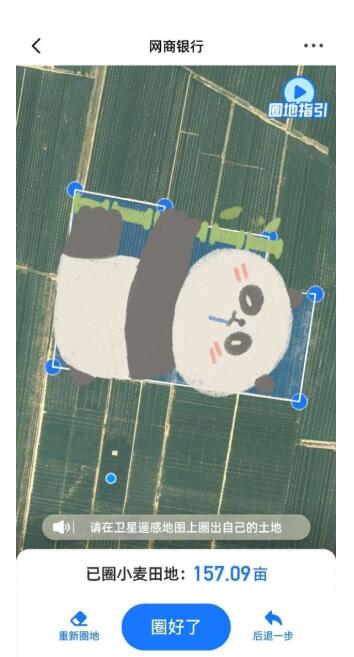 支付宝大山雀名字是什么 支付宝大山雀名字介绍分享