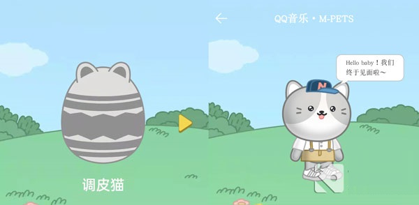 QQ音乐宠物是什么样的?QQ音乐宠物样子对比