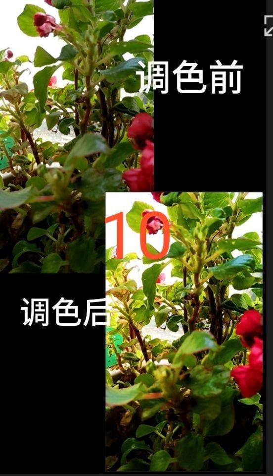 图文详解剪映APP如何调整视频亮度，短视频编辑方法分享。