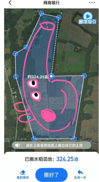 支付宝大山雀名字是什么 支付宝大山雀名字介绍分享