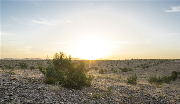 我来分享蚂蚁森林中收集的能量什么时候能种树。