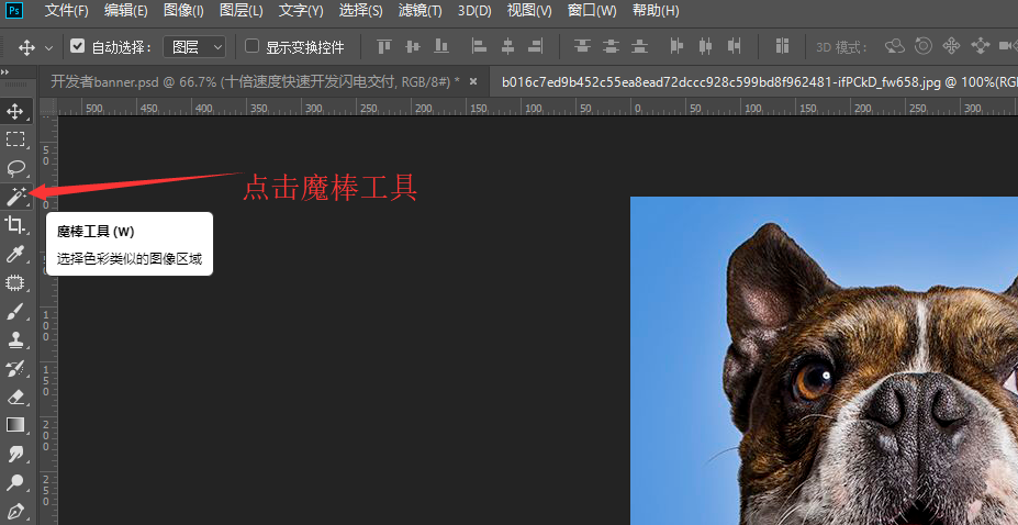 分享教你用PS魔棒工具来抠图。
