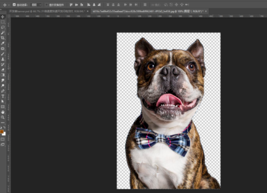 分享教你用PS魔棒工具来抠图。