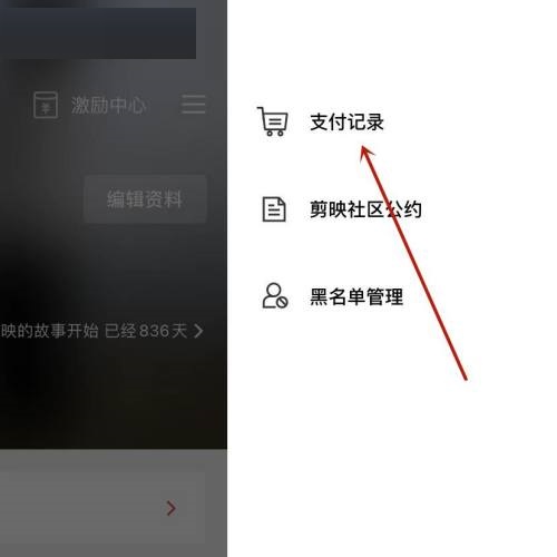 剪映支付记录怎么查看?剪映支付记录查看教程
