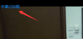 爱奇艺万能播放器手动添加字幕的具体方法