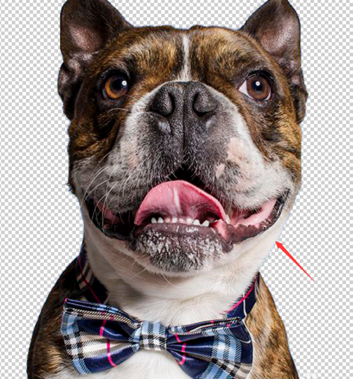 分享教你用PS魔棒工具来抠图。