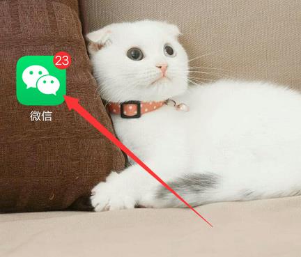 微信拍拍肩膀怎么弄的?微信拍拍肩膀设置的方法