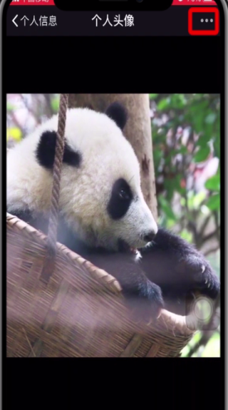 微信使用以前头像的操作步骤