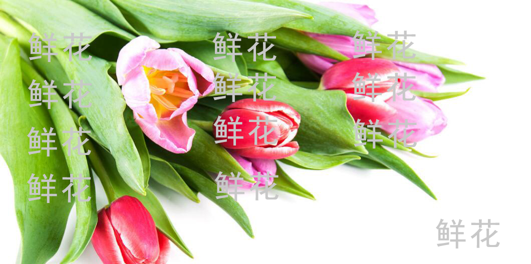 我来分享PS修图高级技巧。