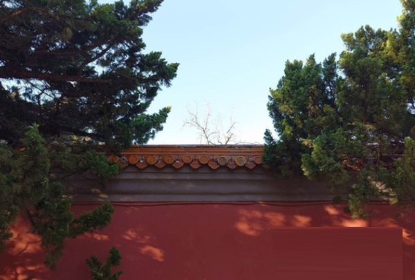 索尼XperiaPRO-I拍照性能怎么样?索尼XperiaPRO-I拍照性能介绍