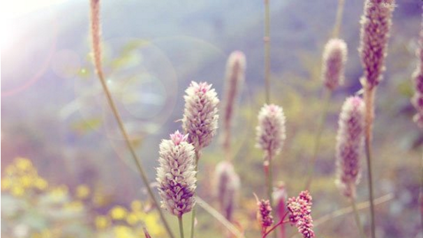 关于教你用PS让图片呈现小清新的视觉感。