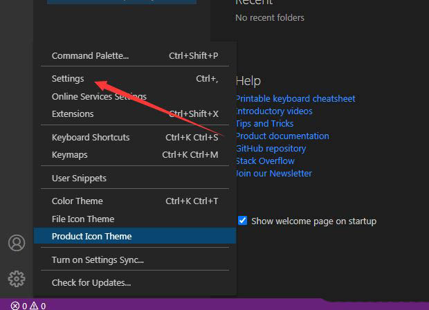 VSCode如何显示类型参数?VSCode类型参数显示方法