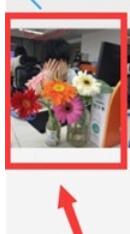 iqoopro隐藏照片的方法介绍