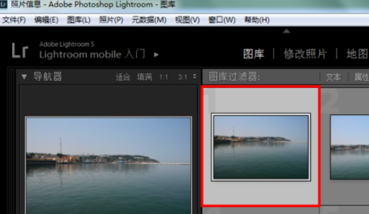Lightroom使用预设的操作方法