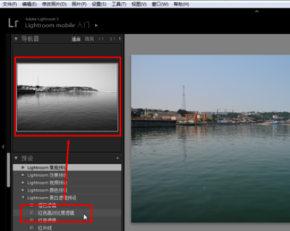Lightroom使用预设的操作方法