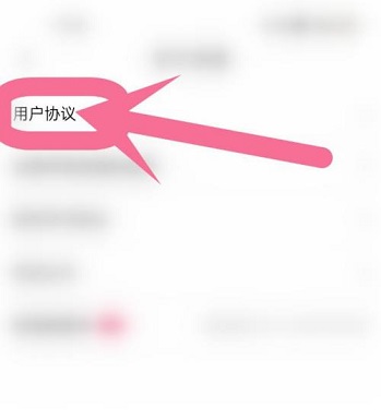 点淘怎么查看用户服务协议内容?点淘查看用户服务协议内容的方法