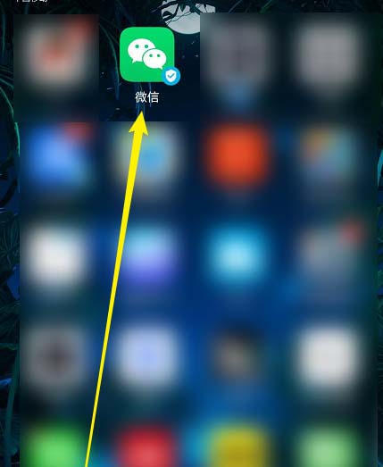 如何取消微信小程序授权? 微信小程序取消授权的方法教程