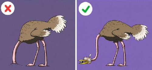 遇到危险时,鸵鸟真的会把头埋进沙堆吗?支付宝蚂蚁庄园9月20日答案