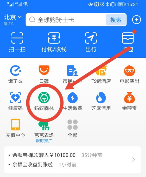 支付宝蚂蚁森林怎么停用？支付宝停用蚂蚁森林操作步骤