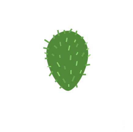 ps怎么手绘仙人掌矢量图?ps画卡通仙人掌插画的技巧