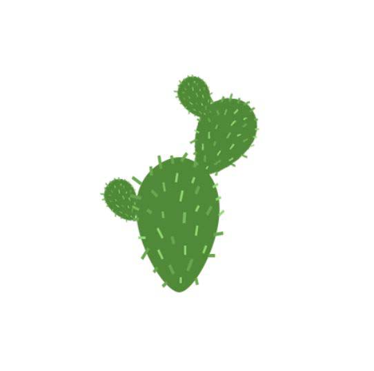 ps怎么手绘仙人掌矢量图?ps画卡通仙人掌插画的技巧