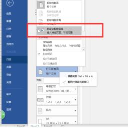 word2016怎样设置自定义打印范围 word2016中自定义打印范围的操作步骤