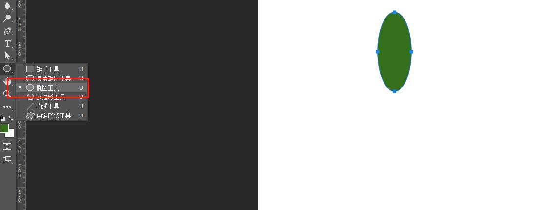 ps怎么手绘仙人掌矢量图?ps画卡通仙人掌插画的技巧