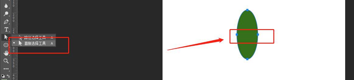 ps怎么手绘仙人掌矢量图?ps画卡通仙人掌插画的技巧