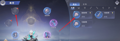 斗罗大陆：魂师对决如何装备魂骨？斗罗大陆：魂师对决装备魂骨的操作攻略