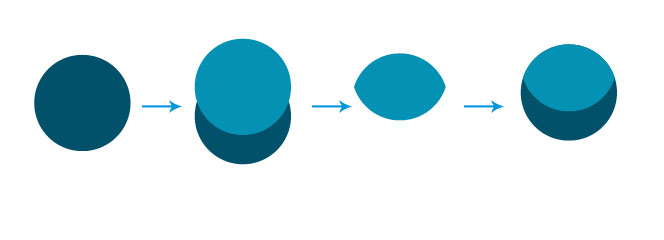 Adobe Illustrator设计猫头鹰插画图的方法步骤